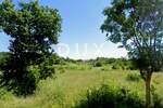 Zemljiste, Marčana, prodaja, 138500 €, 1535 m2