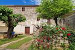 Kuca, Novigrad, prodaja, 260000 €, 243 m2