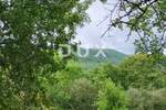 Zemljiste, Buzet, prodaja, 4 €, 120000 m2