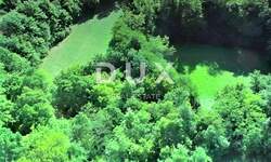 Zemljiste, Žminj, prodaja, 390000 €, 12958 m2