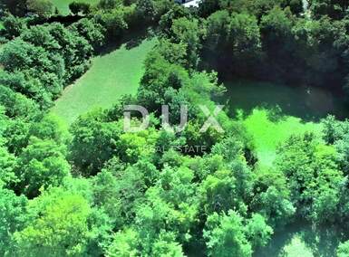 Zemljiste, Žminj, prodaja, 390000 €, 12958 m2