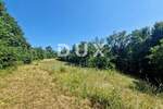 Zemljiste, Žminj, prodaja, 390000 €, 12958 m2