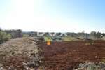 Zemljiste, Fažana, prodaja, 20000 €, 505 m2