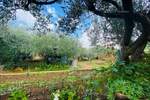 Kuca, Pula, prodaja, 630000 €, 146 m2