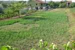 Zemljiste, Barban, prodaja, 82400 €, 0 m2