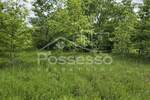 Zemljiste, Buzet, Kotli, prodaja, 3765 €, 1569 m2