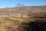 Zemljiste, Kršan, Šušnjevica, prodaja, 525000 €, 12643 m2