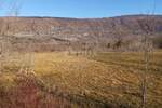 Zemljiste, Kršan, Šušnjevica, prodaja, 525000 €, 12643 m2
