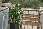 Jednosoban stan, Umag, prodaja, 252350 €, 64 m2