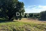Zemljiste, Barban, prodaja, 225000 €, 3606 m2