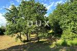 Zemljiste, Barban, prodaja, 225000 €, 3606 m2
