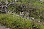 Zemljiste, Matulji, prodaja, 11500 €, 63 m2